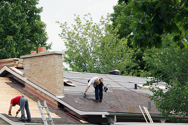 Best Commercial Roofing Services  in Le Mars, IA