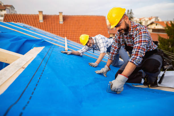 Best Storm Damage Roof Repair  in Le Mars, IA