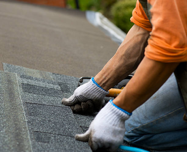 Best Roof Leak Repair  in Le Mars, IA