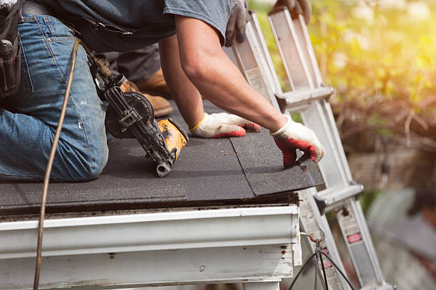 Best Residential Roofing Contractor  in Le Mars, IA