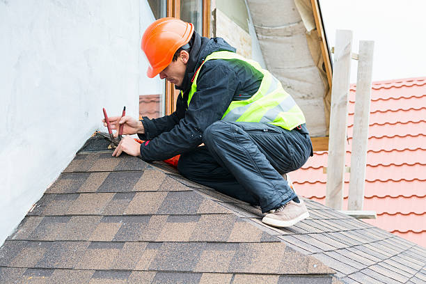 Best Roof Repair Estimates  in Le Mars, IA