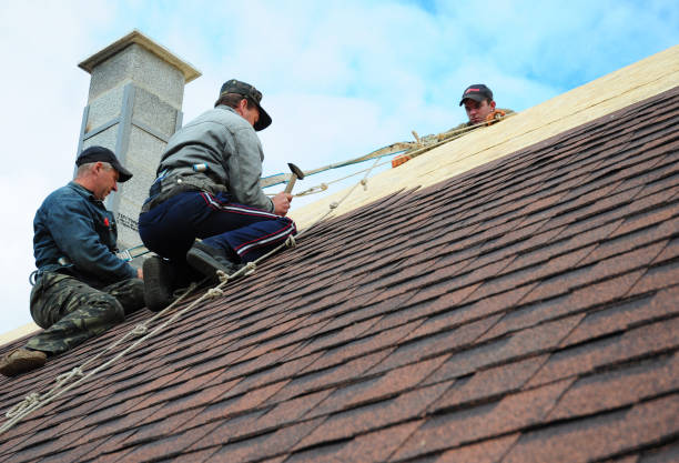 Quick and Trustworthy Emergency Roof Repair Services in Le Mars, IA