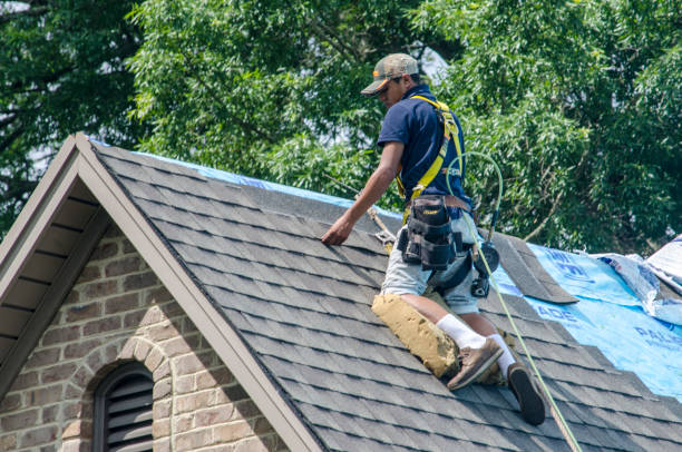 Best Commercial Roofing Services  in Le Mars, IA